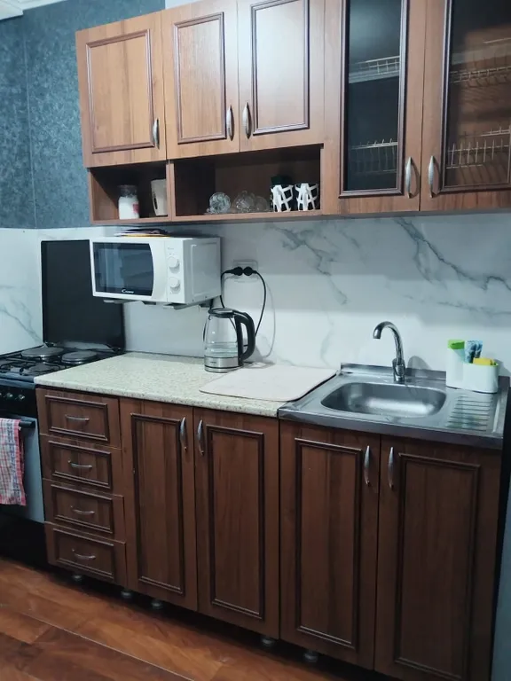 Квартира Уютная квартира в центре города — Гагра