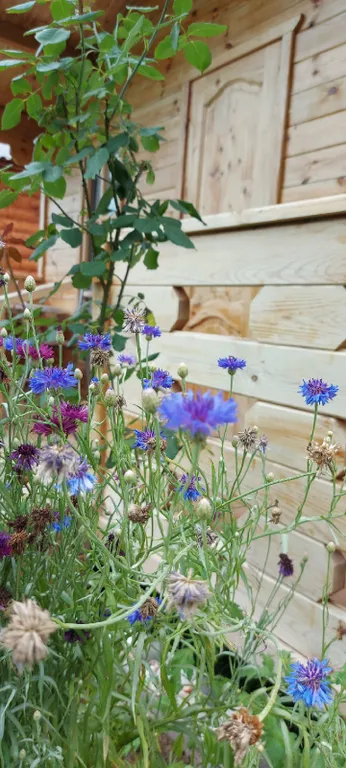 Дом в деревне на берегу реки для спокойного отдыха