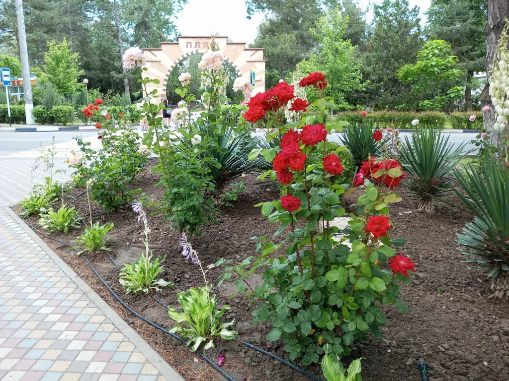 Квартира Апартаменты  у моря — Анапа