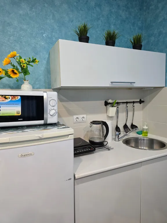 Уютные апартаменты