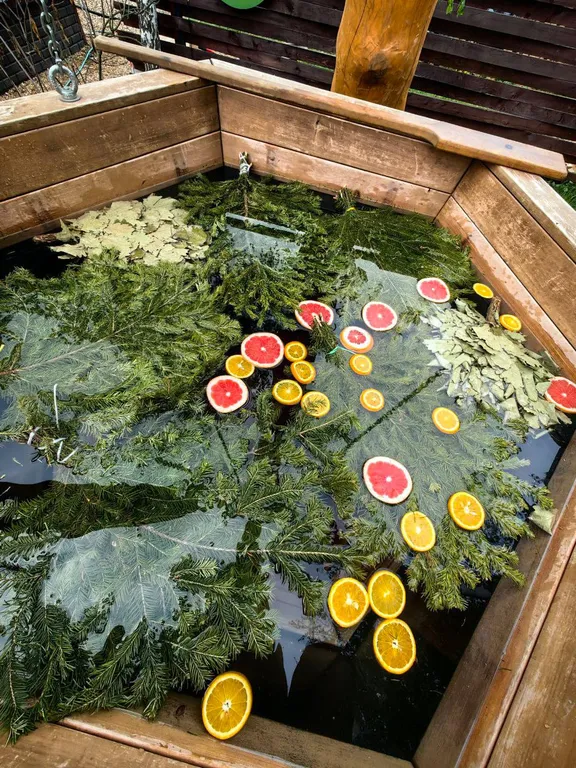 Коттедж Треугольный эко-дом с баней и чаном — Истра