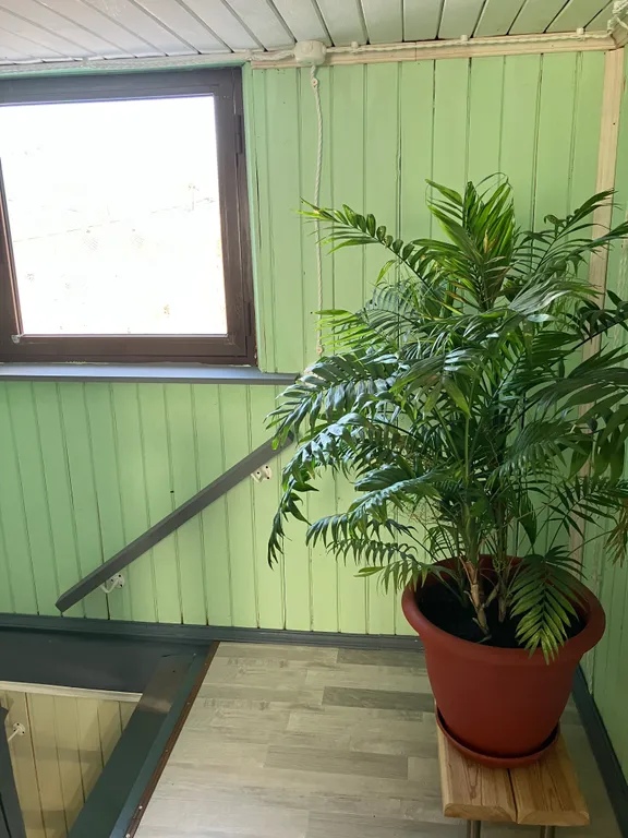 Уютный домик для семейного отдыха