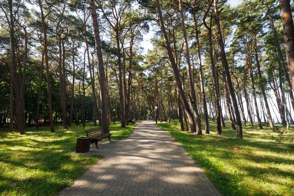 Уютная квартира рядом с морем