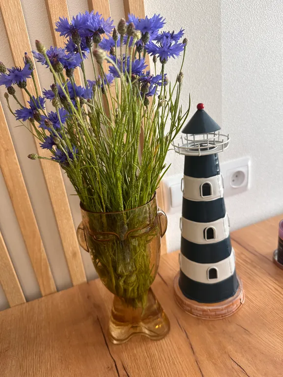 Студия VS в престижном жк АТЛАНТИС  с видом на Балтийское море