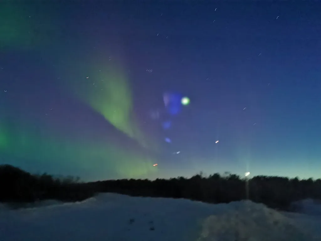 Современный дом в сосновом лесу