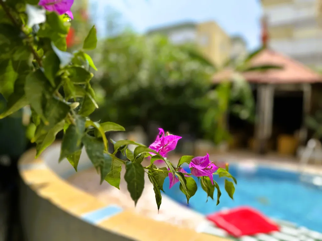 Аланья, квартира со своим бассейном и садом, до моря 7 минут