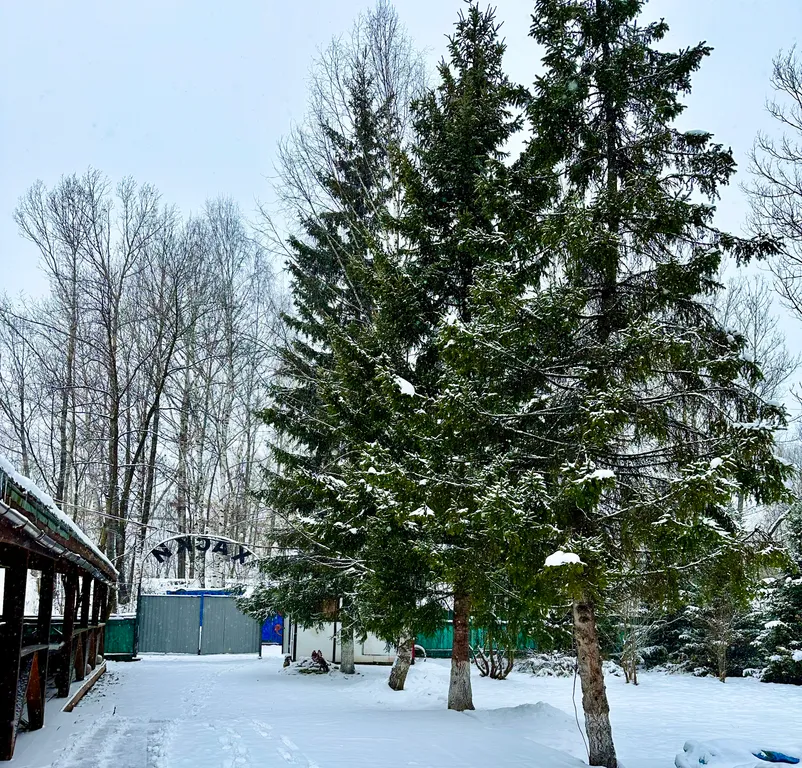 Коттедж в живописном месте с большой территорией