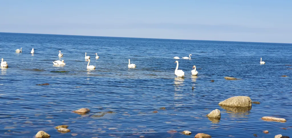 Апартамент в загородном доме филино с сауной, садом и барбекю