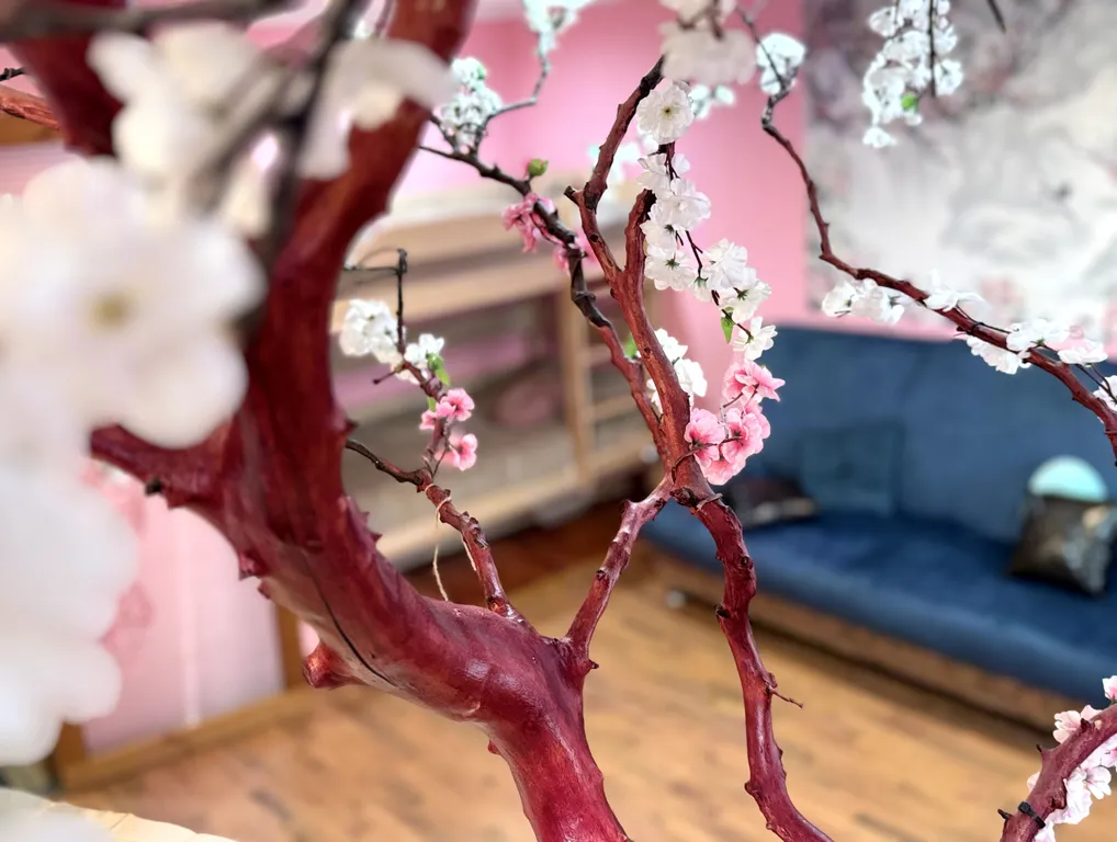 Сакура в Хибинах