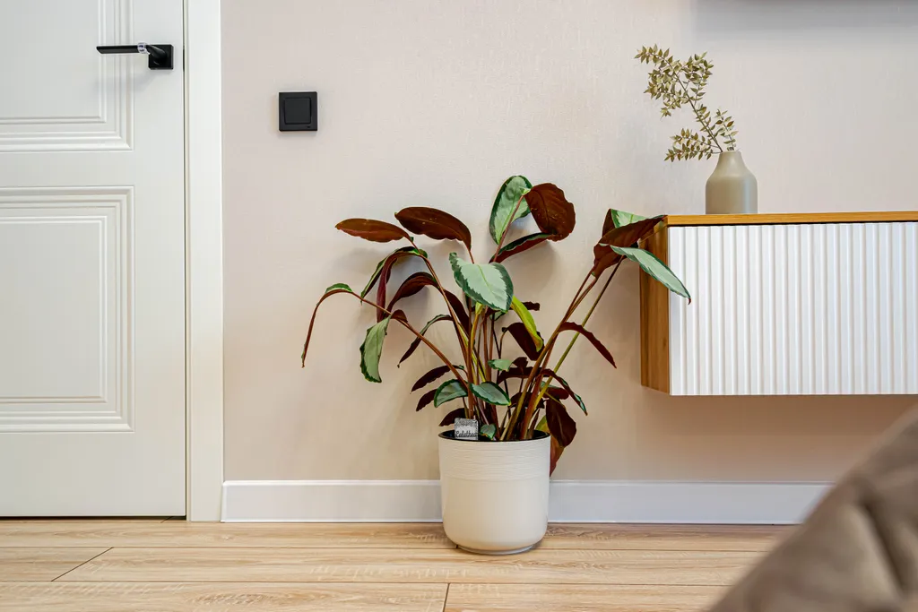 ЖК бизнес-класса "Премьер" | 20 этаж | ТРК "Семья"