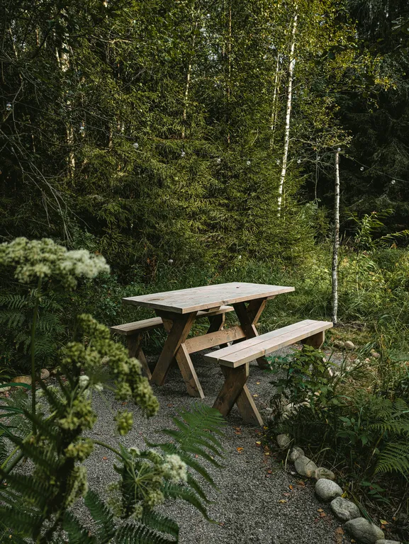 Уютный дом в лесу