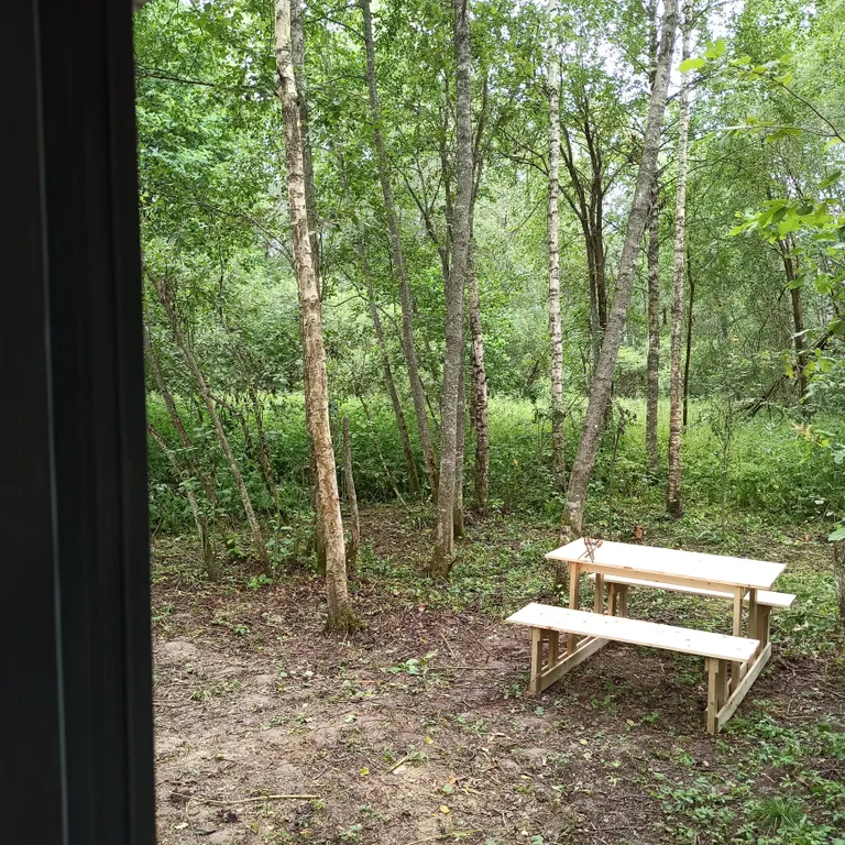 Коттедж Дом у леса — Можайск