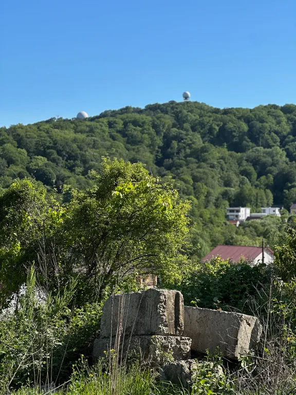 Коттедж Дом в лесу с баней и бассейном — Веселое