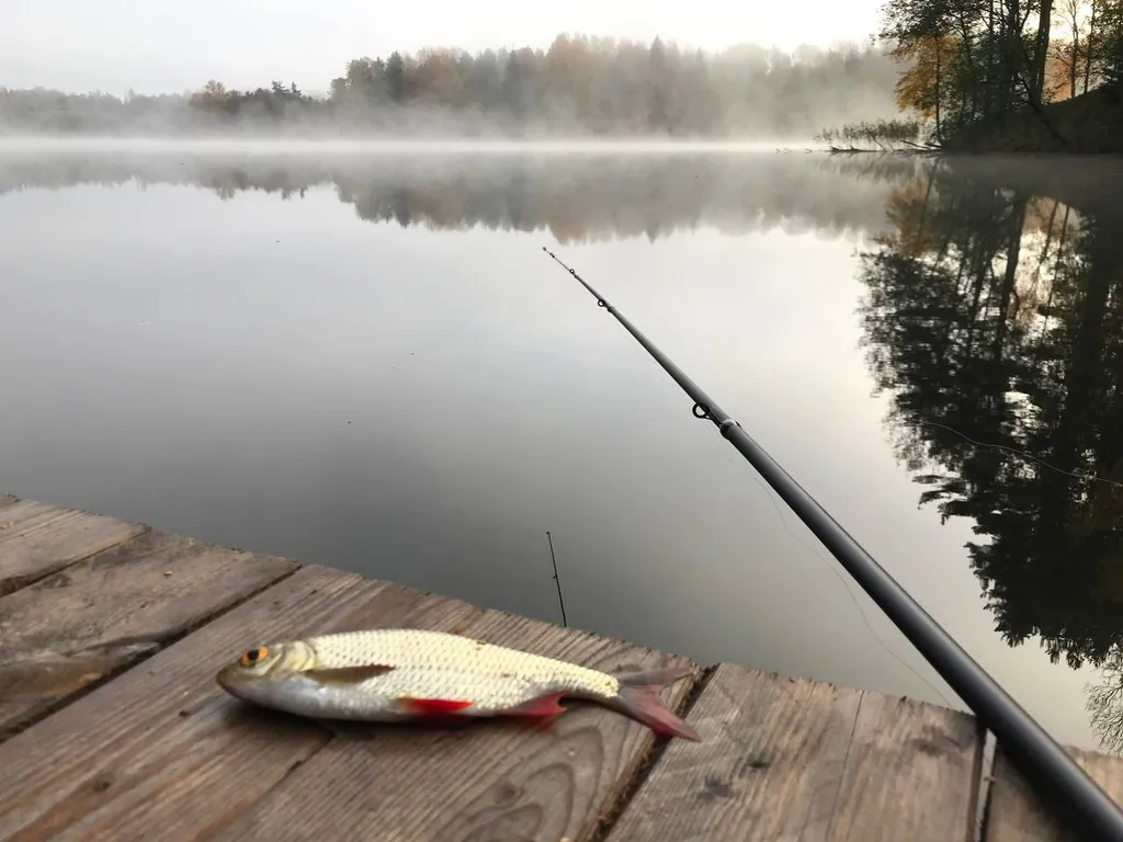 Усадьба в Антроповке
