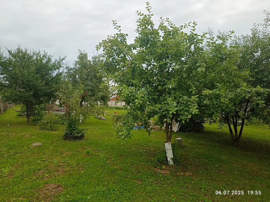 Просторный и уютный дом