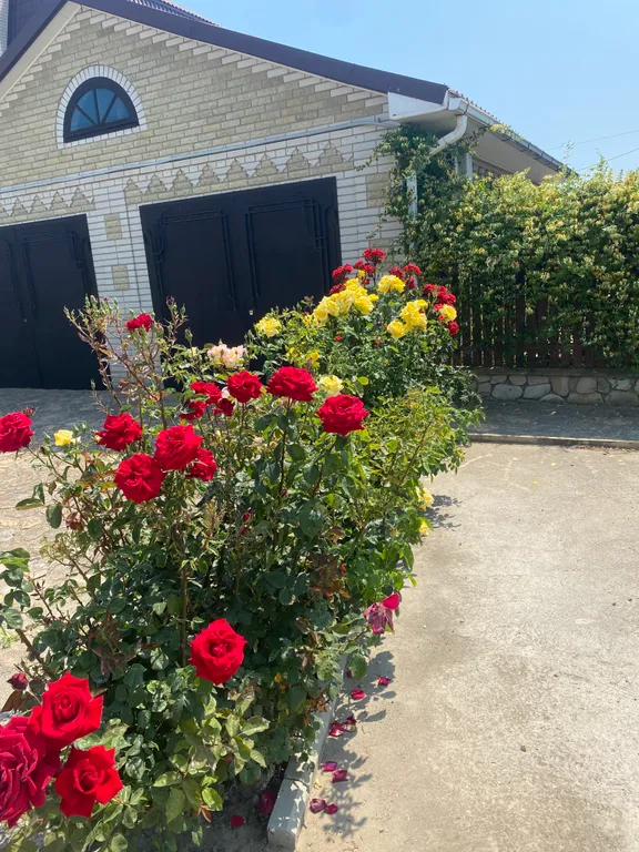 Коттедж Уютный жилой дом на берегу Азовского моря — Кучугуры