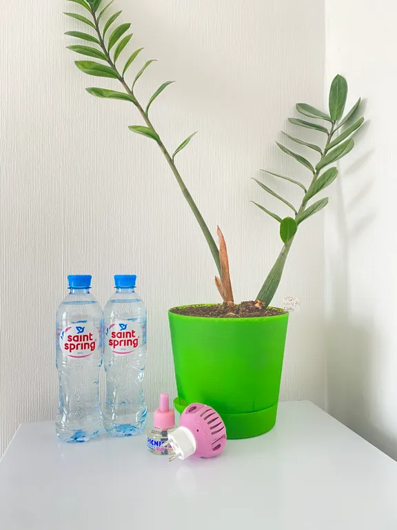 Квартира Уютная квартира в Калининграде — Калининград