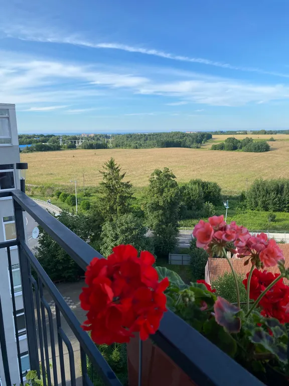 Квартира Уютная квартира с красивым видом — Светлогорск