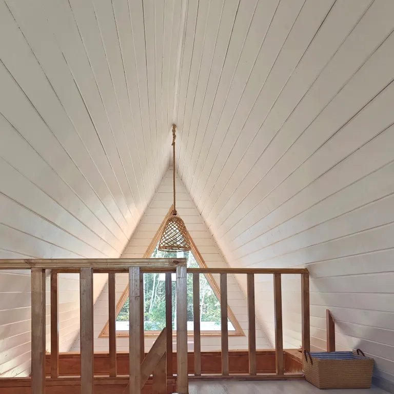 Стильный треугольный дом с видом на лес