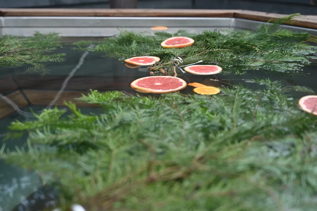 Дом с видом на Оку