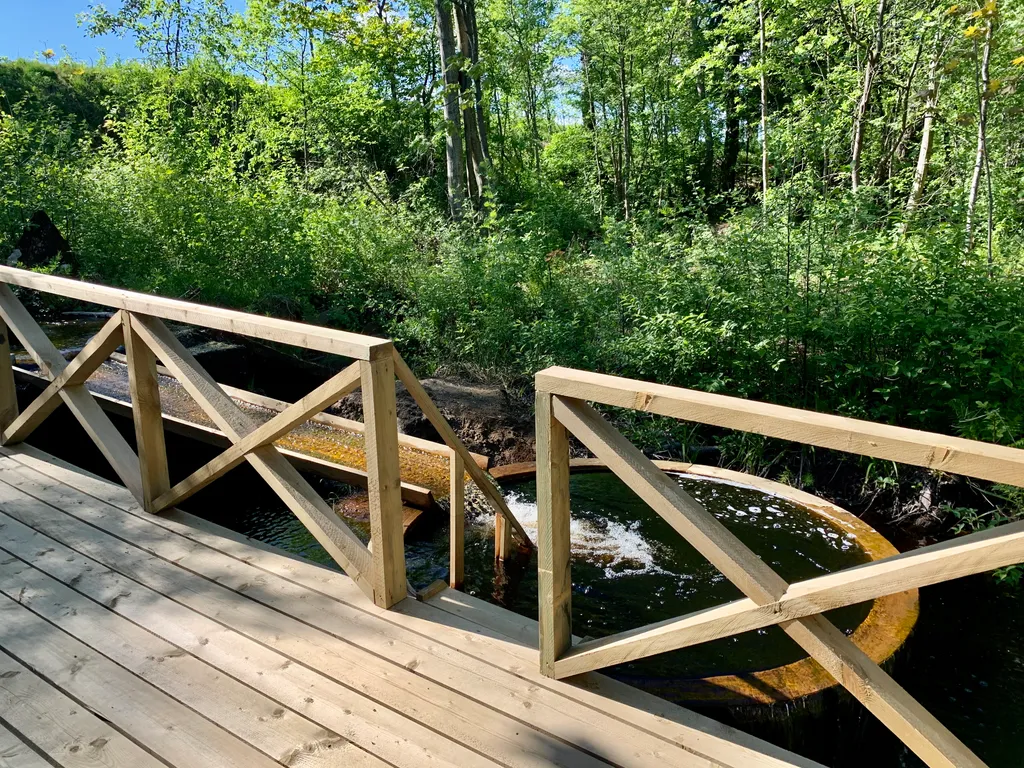 Коттедж на на берегу озера с банями и купелью