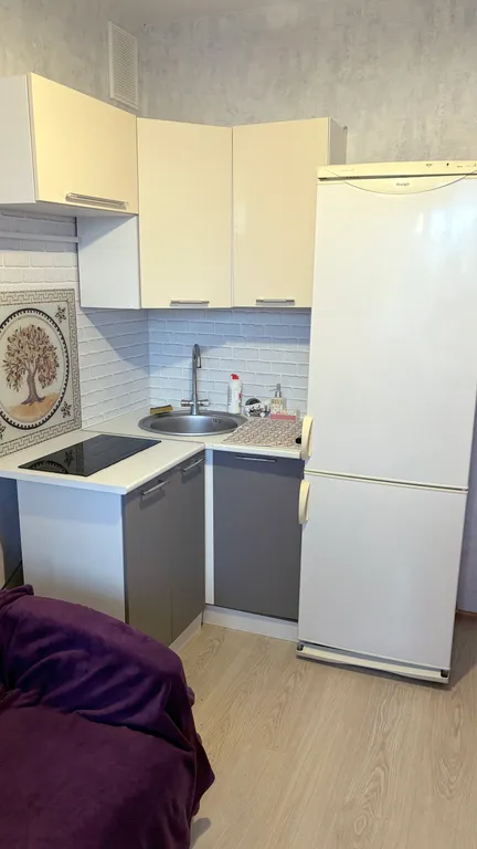 Однокомнатная в Петра Дубраве