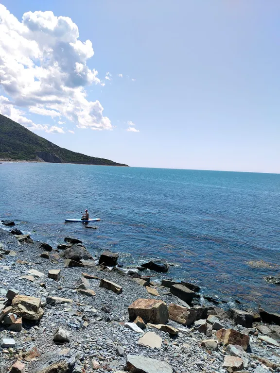 У дяди Миши