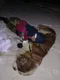Раиса