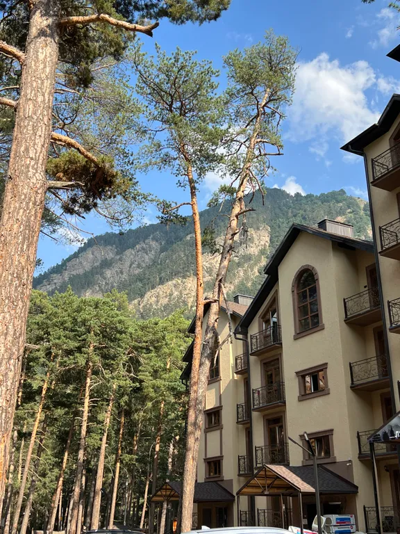 Уютная квартира