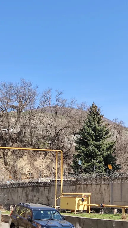 Квартира в центре рядом с цветником, 2 спальни и кухня гостиная