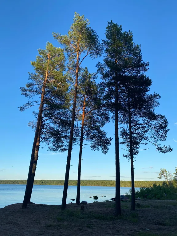 Дом на берегу озера