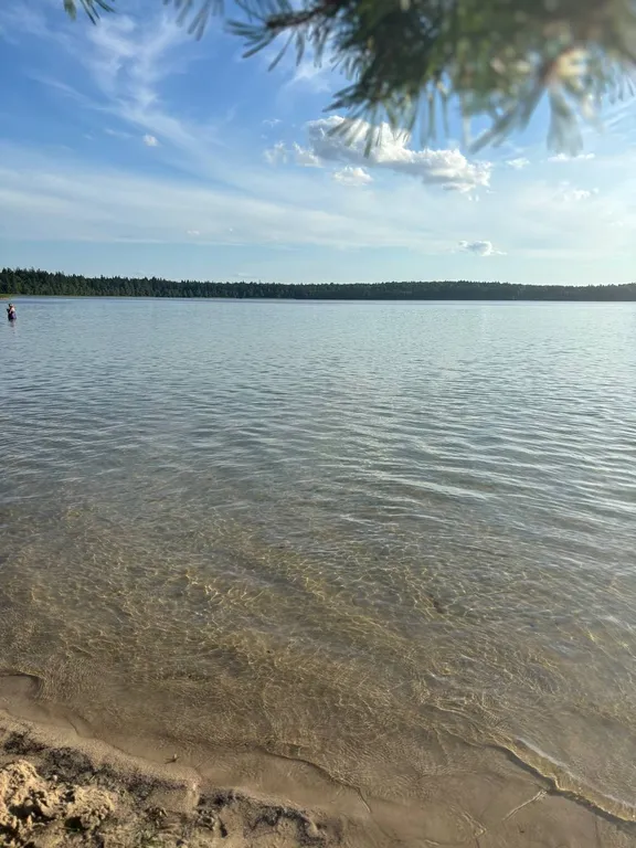 Деревенский домик в лесу