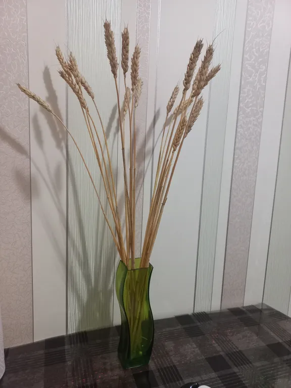 Квартира рядом с трассой для гостей города