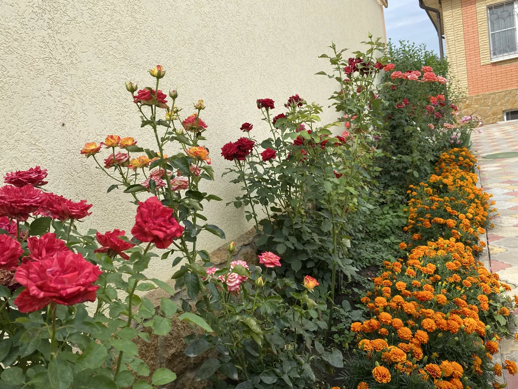 Уютный дом в тихом месте