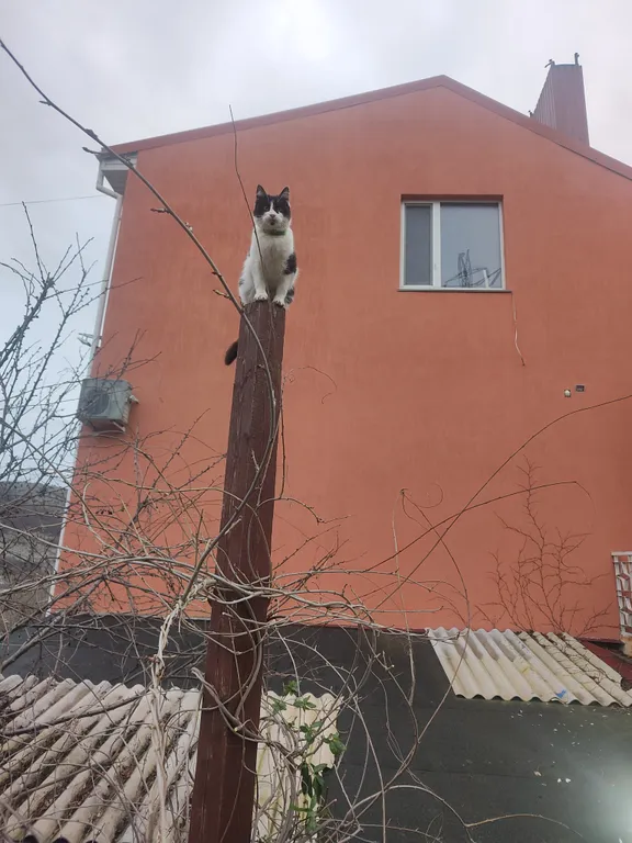 Вау-апартаменты Романтика