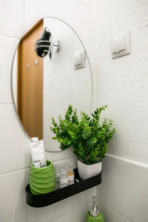 Студия рядом с зоопарком III