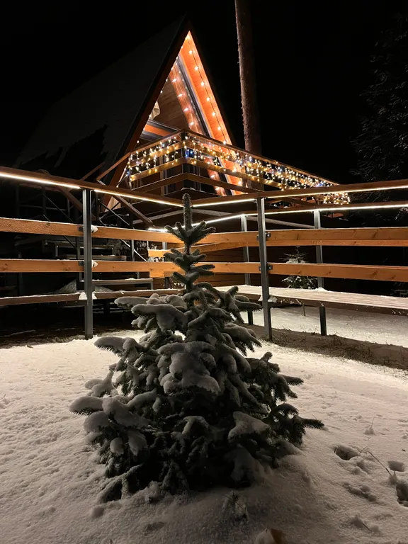 Коттедж Коттедж Шапкинские высоты — Тосно