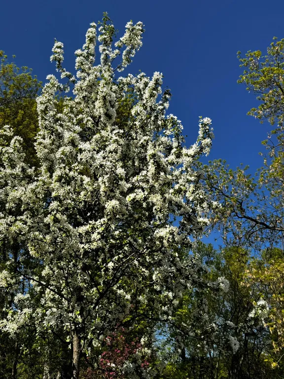 Коттедж Уютный дом с сауной и террасой для тех кто любит комфорт — Новоселье