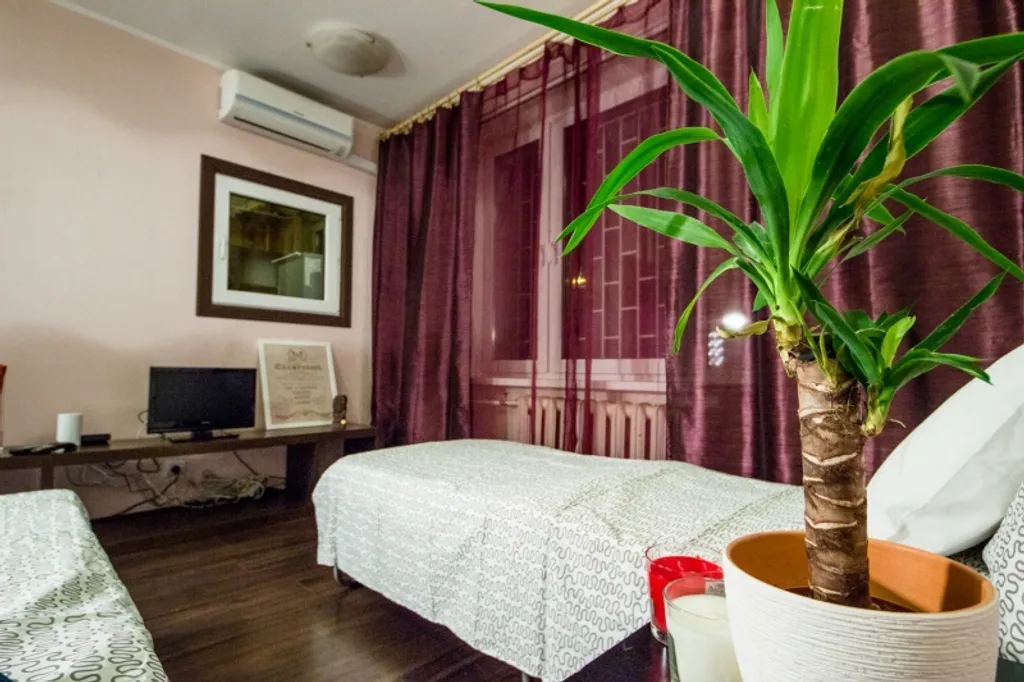 Квартира Гнездо орла, 1-комнатная квартира на ВДНХ — Москва