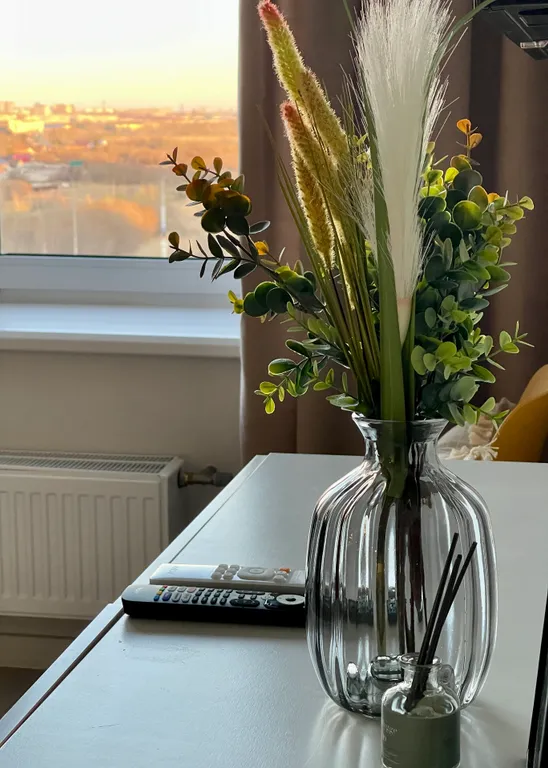 Квартира Уютная студия с видом на метромост — Омск