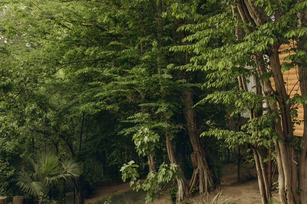 Коттедж в лесу