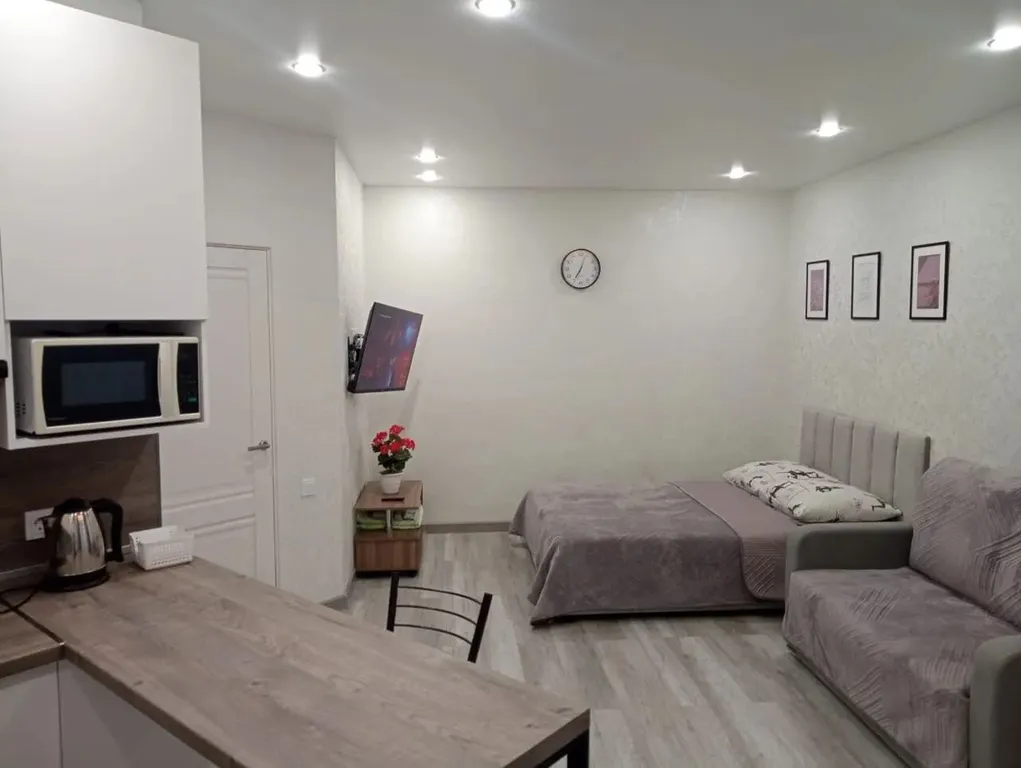 Комфортная студия, микрорайон Спутник