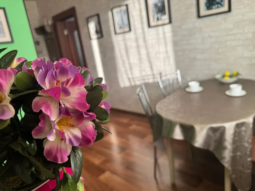 Самый центр, отличная однокомнатная большая квартира