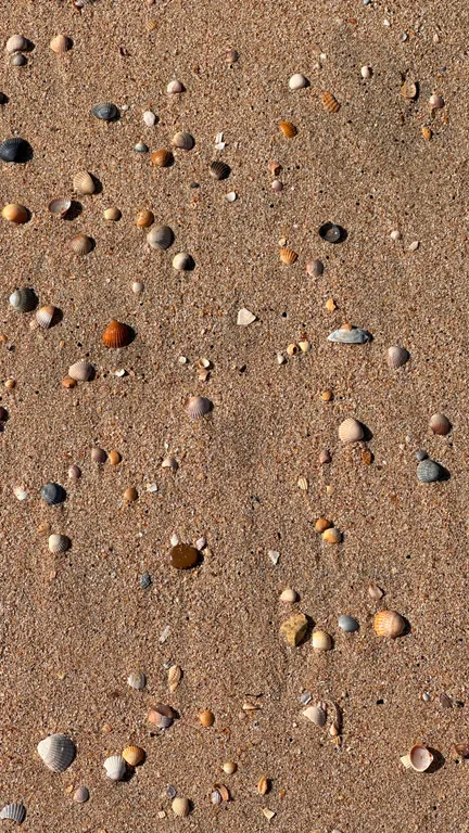 Большая благоустроенная комната с террасой