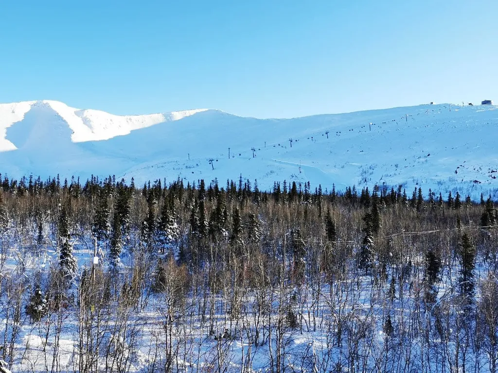 Квартира с видом на горы