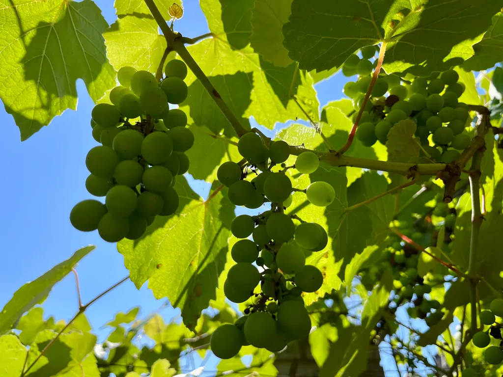3-комн. Таунхаус в шаговой доступности к морю
