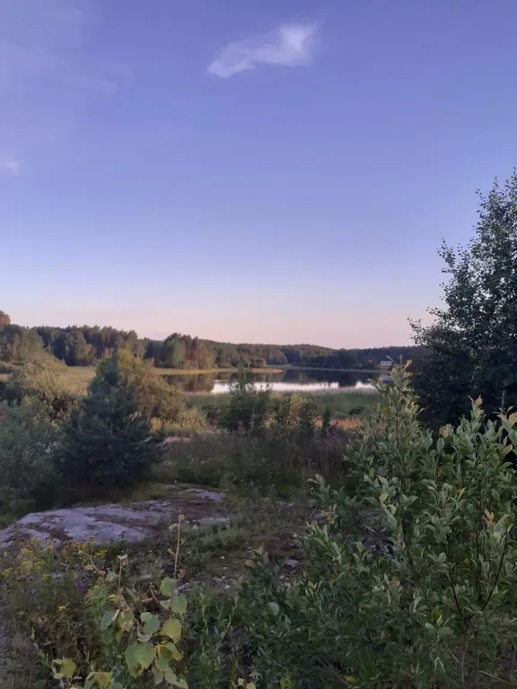 Небольшой дом на острове