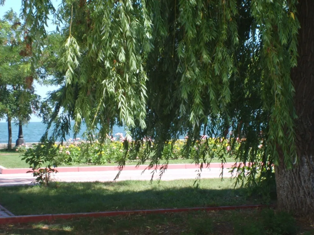 Квартира в районе городской набережной, видовая