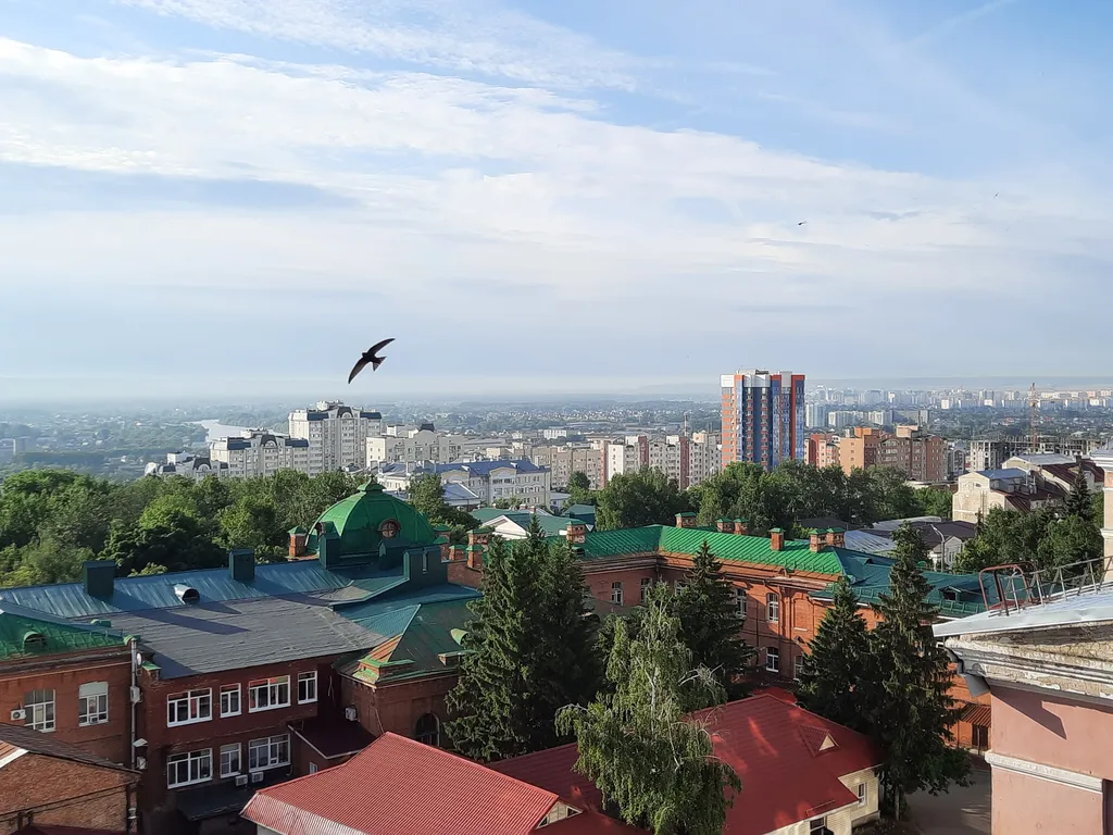 Панорамный вид на исторический центр города