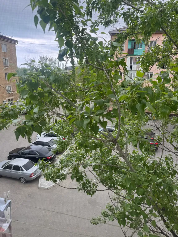 Уютная квартира на первой береговой линии, в центре города